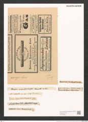 Surirella anceps (Breb.) Lew. (de-Toni-Nr.: Genus 53, Species 2314) Zeichnungen Sammlung Grunow (NHMW-BOT-W0372882)